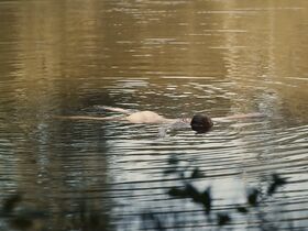 Джина Штибиц голая, Лиза Викари секси – Темнота s02e06 (2019) #7