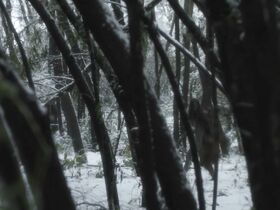 Лорин Кэнни секси – Дорогуша (2019) #5