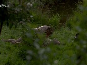 Моника Зоубкова голая – Операция «Дунай» (2009) #9