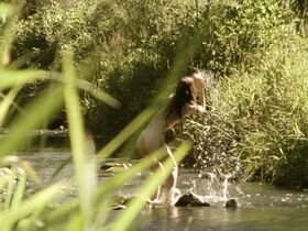 Вероника Кгек Кубаржова голая, Вероника Гаерова голая – Девушка и волшебник (2008) #3