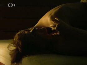 Анна Гейслерова секси – Nevinné lži s01e01 (2013) #14