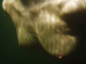 Александра Поплавска голая, Пола Бласик голая, Нель Качмарек голая – Вызов (2020) #6