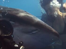 Таня Рэймонд секси – Глубокое синее море 3 (2020) #8