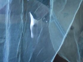 Джоана Гатис голая, Таисса Кавалканти голая – Soledad (2015) #6