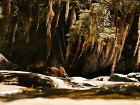 Жулиана Шальч голая – Макабр (2019) #2