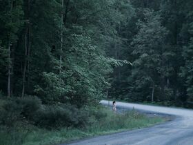 Кристин Спанг голая – The Naked Woman (2019) #2