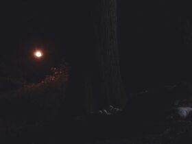 Рэйчел МакКеон секси – Dry Days (2015) #7