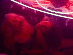 Тру Коллинз голая, Дора Мэдисон голая – Блаженство (2019) #10