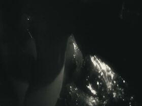 Кортни Итон секси – Perfect (2018) #13