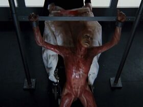 Морьяна Алауи голая, Эмили Мискджьян голая – Мученицы (2008) #23