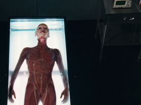 Морьяна Алауи голая, Эмили Мискджьян голая – Мученицы (2008) #24