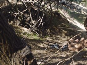 Джэми Бернадетт голая, Мария Олсен голая – Я плюю на ваши могилы: Дежа вю (2019) #10