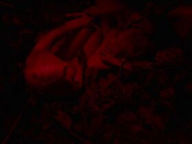 Рооса Сёдерхолм голая – Они сбежали (2014) #10