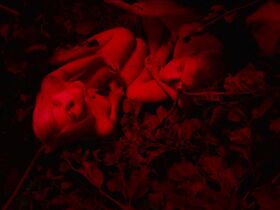 Рооса Сёдерхолм голая – Они сбежали (2014) #11