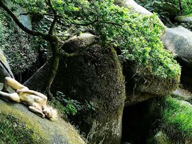 Клаудия Фортунато голая – Воронка времени (2019)