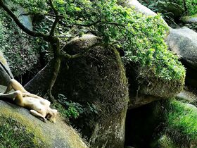 Клаудия Фортунато голая – Воронка времени (2019) #4