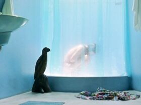 Мариана Лоурейру голая – Кармо (2008) #7