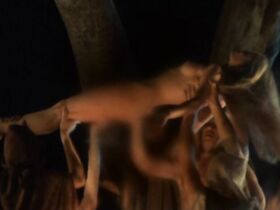 Неизвестная голая – Гонки с дьяволом (1975) #6