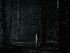 Аня Тейлор-Джой голая – Ведьма (2015)