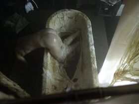 Натали Дормер голая – Призраки s01 (2010)