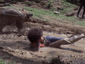 Пэм Гриер голая – Большая клетка для птиц (1972) #2