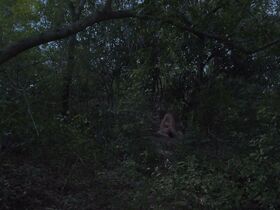 Саманта Юхаш секси – Рисовый пудинг (2016) #2