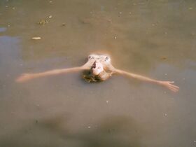 Сабрина Сейвеку голая – Скоро наступят счастливые времена (2016) #7