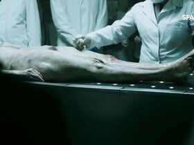 Карла Кеведо голая – Монсон s01e04, e08, e13 (2019) #5