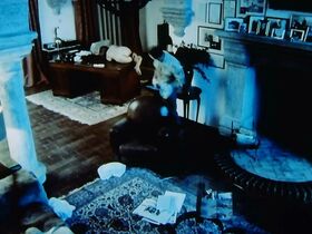 Бериван Кая голая – Телефон полиции — 110 s43e05 (2014) #4