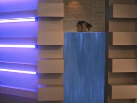 Присцилла Кинтана секси – Пандора s01e01 (2019)