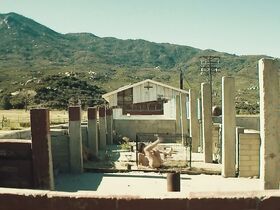 Нора Ессаян секси – Ферма (2018) #3