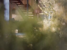 Андреа Флауэрс голая – The Lemon Tree (2019) #2