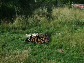 Алис Барноль голая – The Nights Alone (2019) #6
