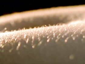 Сильви Этшето голая – Céleste (2005) #4