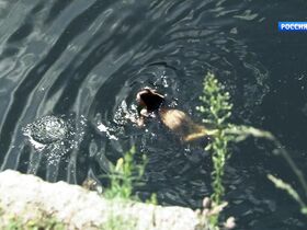 Зоряна Марченко голая – Последний янычар s01e01 (2014) #3