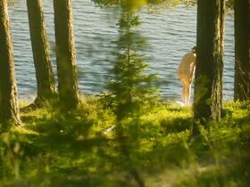 Андреа Винтер голая – Кровавый рай (2018) #11