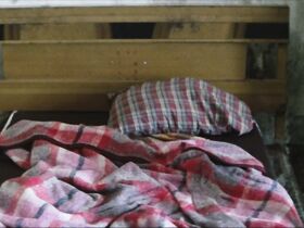 Магдалена Флорес голая – Япония (2002) #2