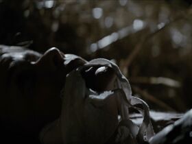 Эстер Чепаи голая – Монстр из Мартфу (2016) #3