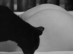 Ева Рас голая – Любовный случай, или Трагедия служащей почтово-телеграфного узла (1967) #5