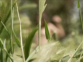 Лубна Азабаль голая – Изгнанники (2004) #5