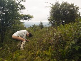 Лайа Коста голая – Мэн (2018) #3