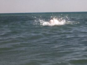 Бенедикт Лойен голая – Гаспар и Робинзон (1990) #3