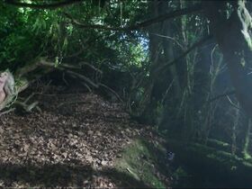 Кайса Мохаммар голая – О Богах и воинах (2018) #2