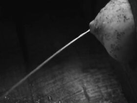 Элина Ловенсон голая – Боро в ящике (2011) #3