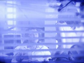 Ноэми Эльбаз секси – Служба расследований s01e04 (2006)