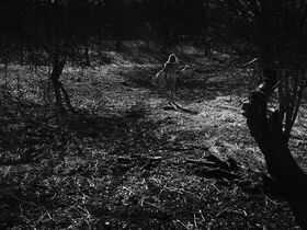 Реа Лест голая – Ноябрь (2017) #1