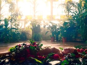 Мелисса Джордж голая – Редкая бабочка (2017) #2