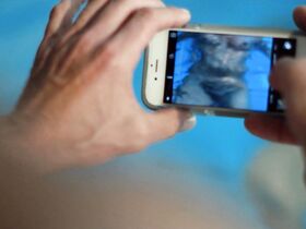 Али Бастиан голая – Кто такая Элис? (2017) #2