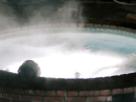 Кристен Риттер секси, Челси Шоу голая – Астма (2014) #2