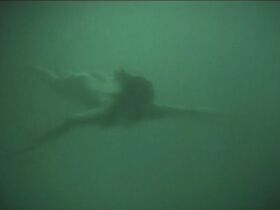 Сюзан Анбех голая - Aquarios (2001) #3